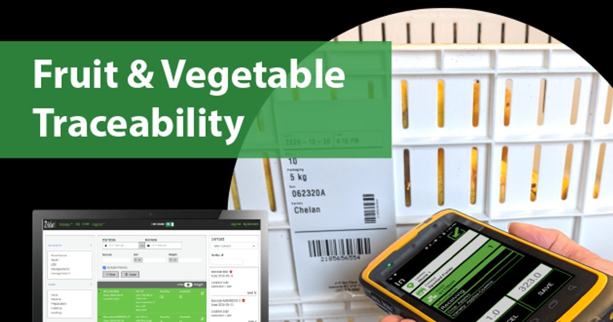 Built for the Field, Not the Office: Why TraceFruit Works Offline
