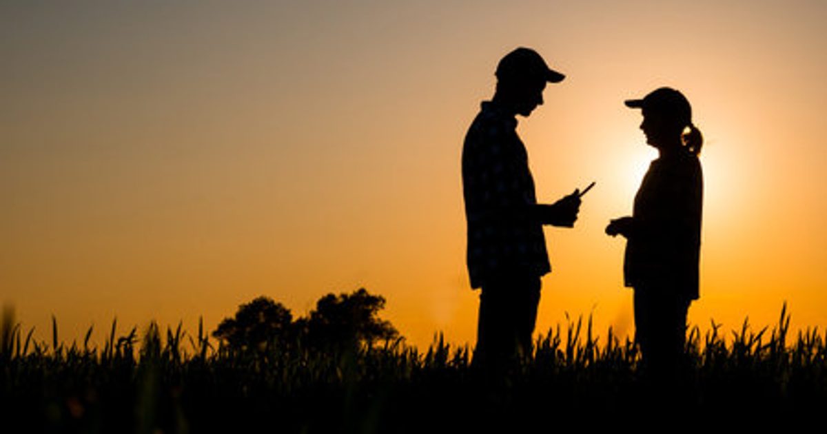 Five Questions Farmers Ask Us Before Joining TraceFruit