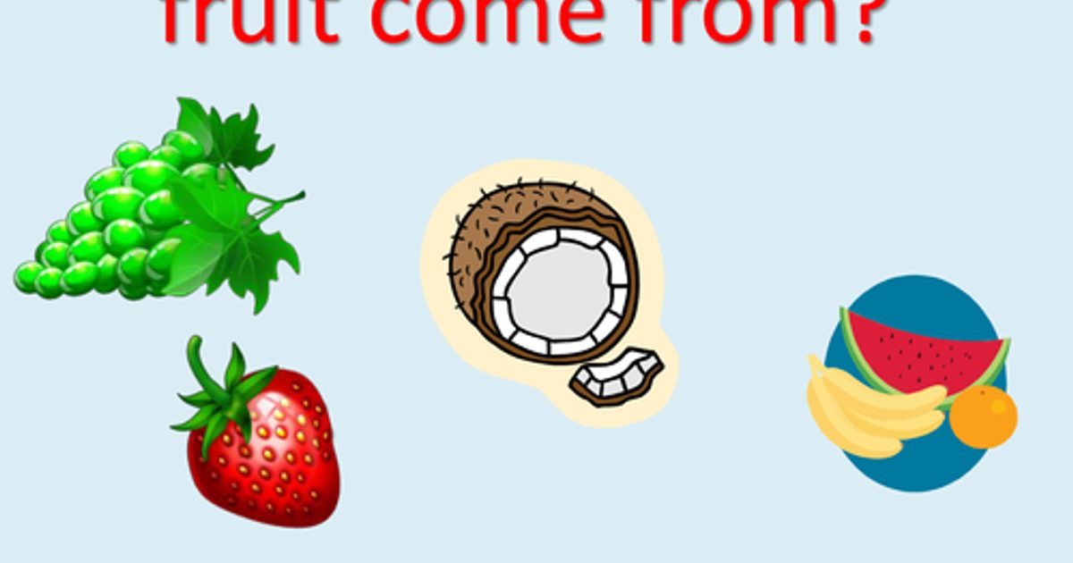 The Hidden Cost of "Where Did This Fruit Come From?"